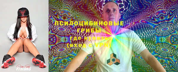 крисы Балахна
