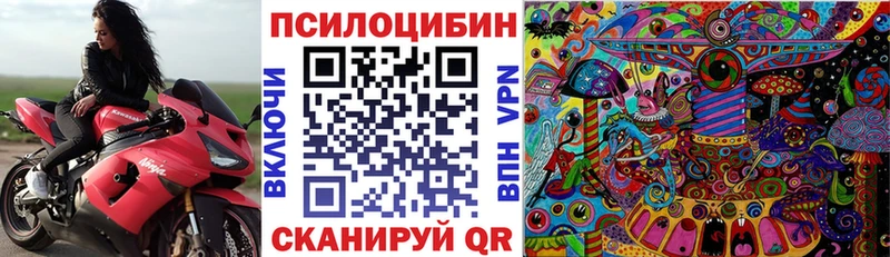 Галлюциногенные грибы мицелий  купить   МЕГА маркетплейс  Тарко-Сале 